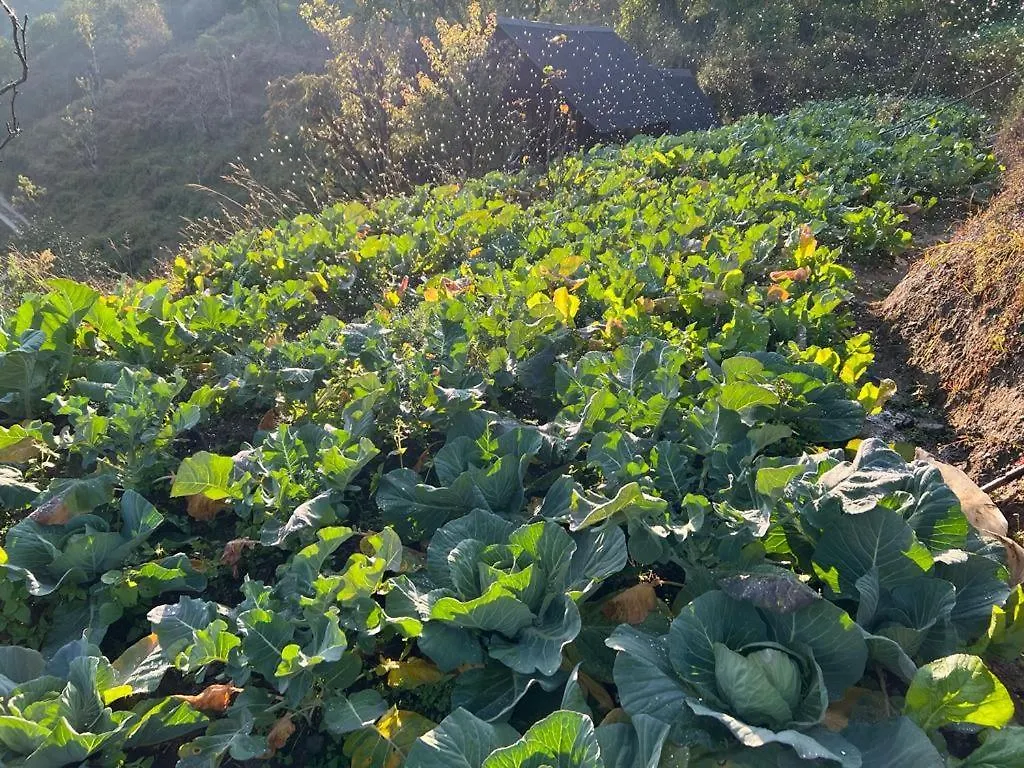 Farm stay Prakriti Resort And Organic Farm Pvt. Ltd. Kathmandu