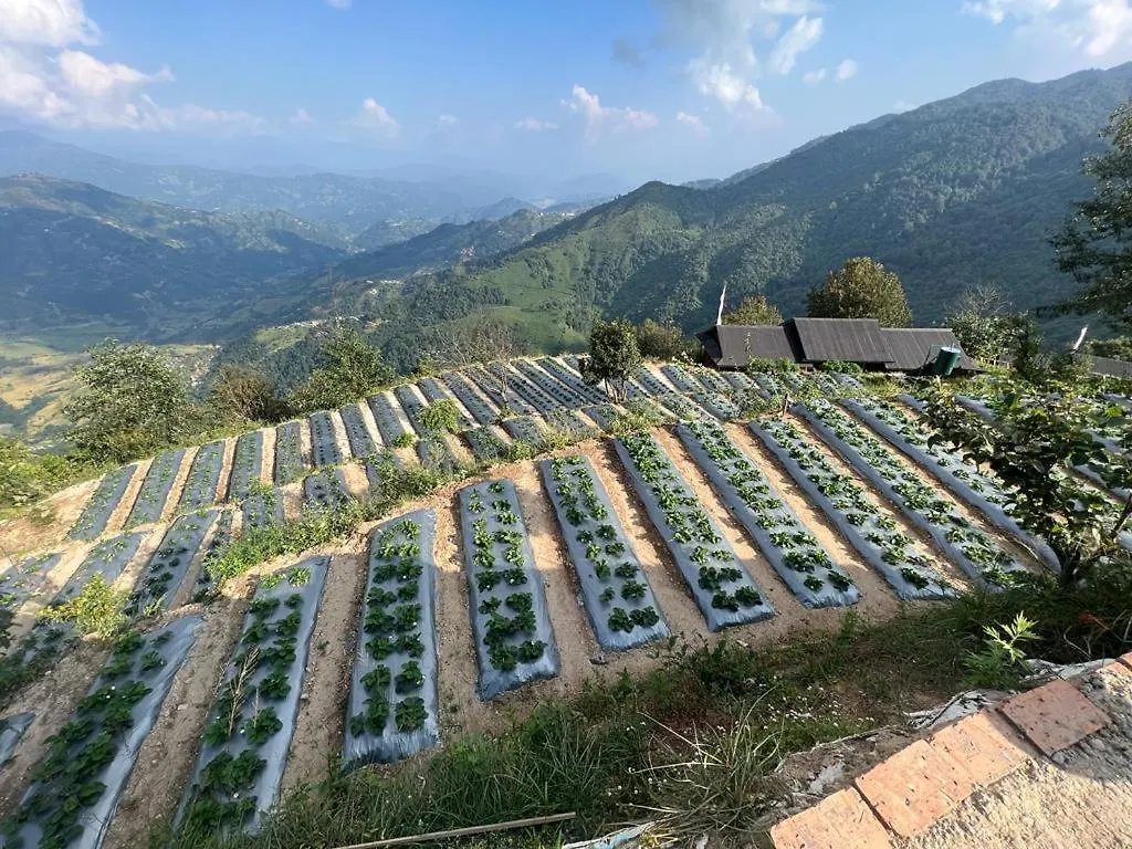 Farm stay Prakriti Resort And Organic Farm Pvt. Ltd. Kathmandu Nepal