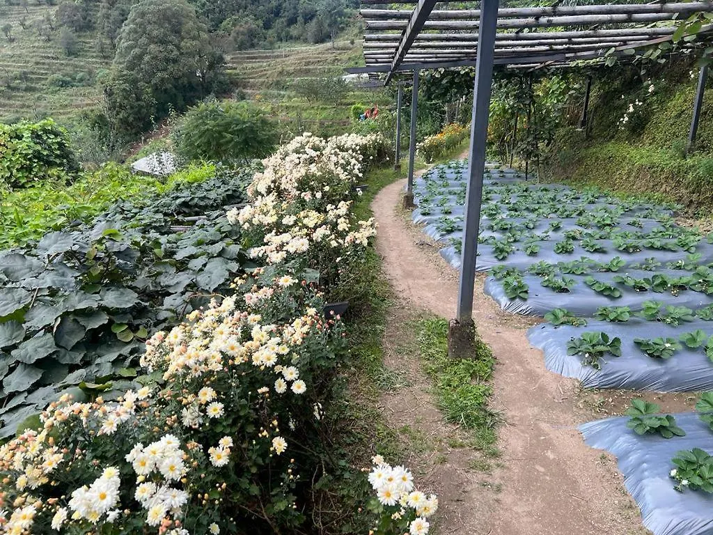 Prakriti Resort And Organic Farm Pvt. Ltd. Kathmandu Nepal