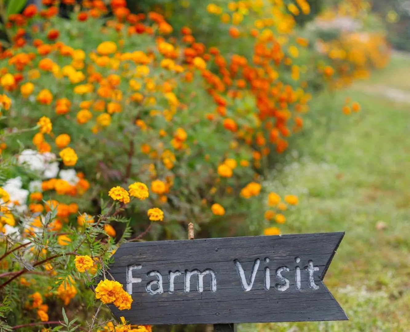 Farm stay Prakriti Resort And Organic Farm Pvt. Ltd. Kathmandu