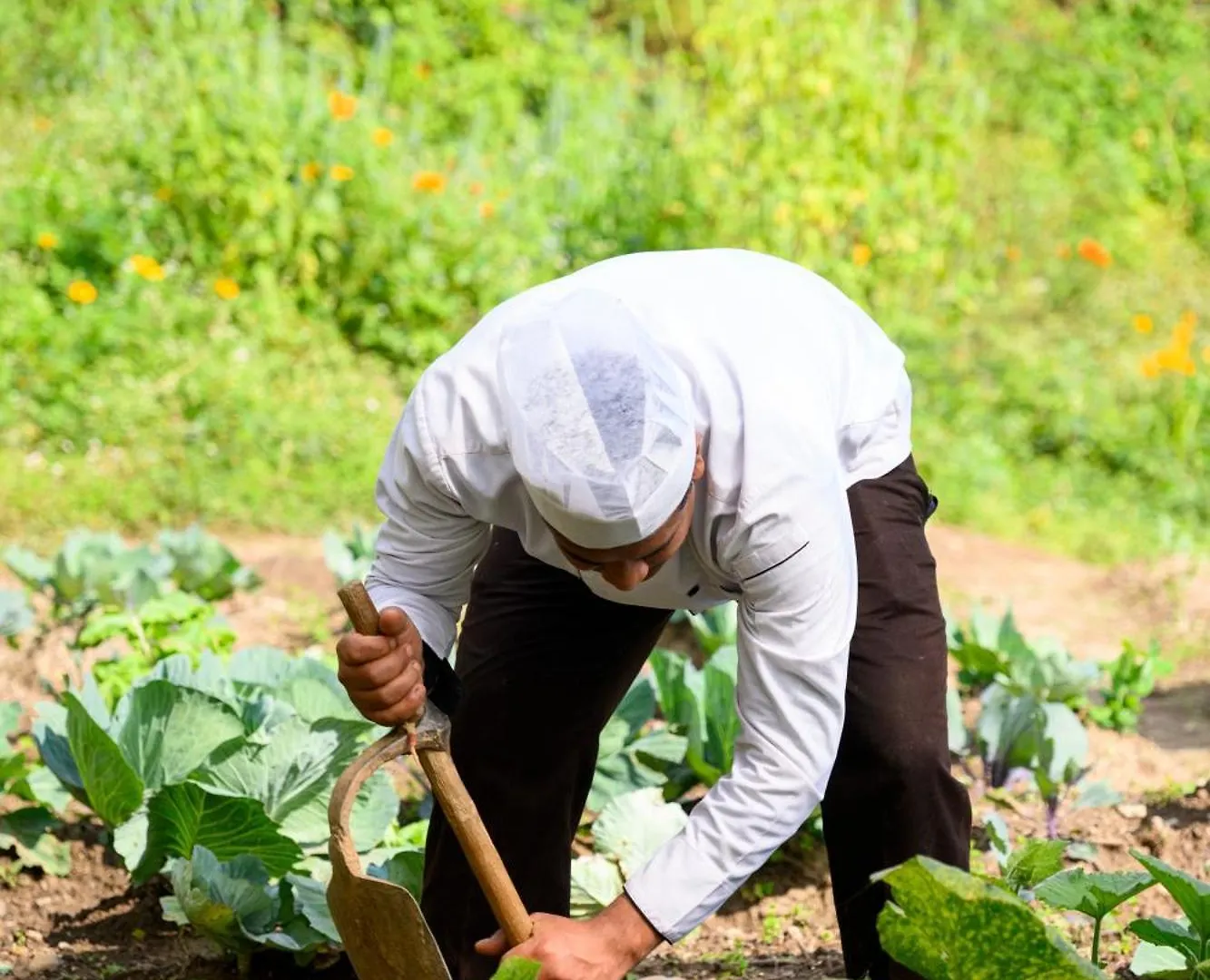 Prakriti Resort And Organic Farm Pvt. Ltd. Kathmandu Farm stay