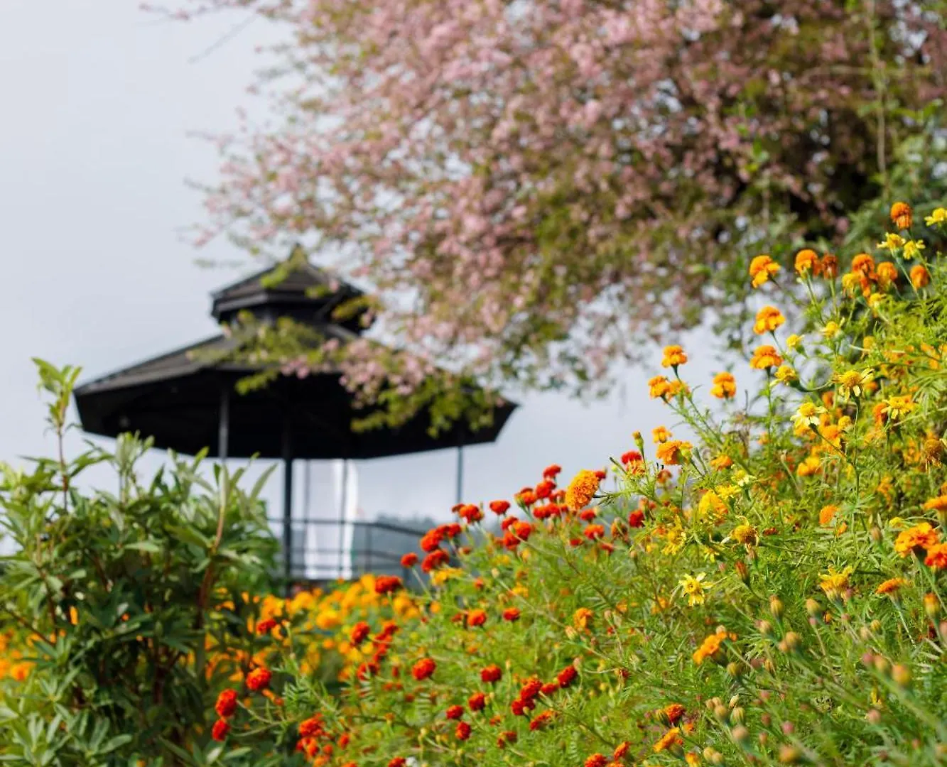 Prakriti Resort And Organic Farm Pvt. Ltd. Kathmandu 0*,  Nepal