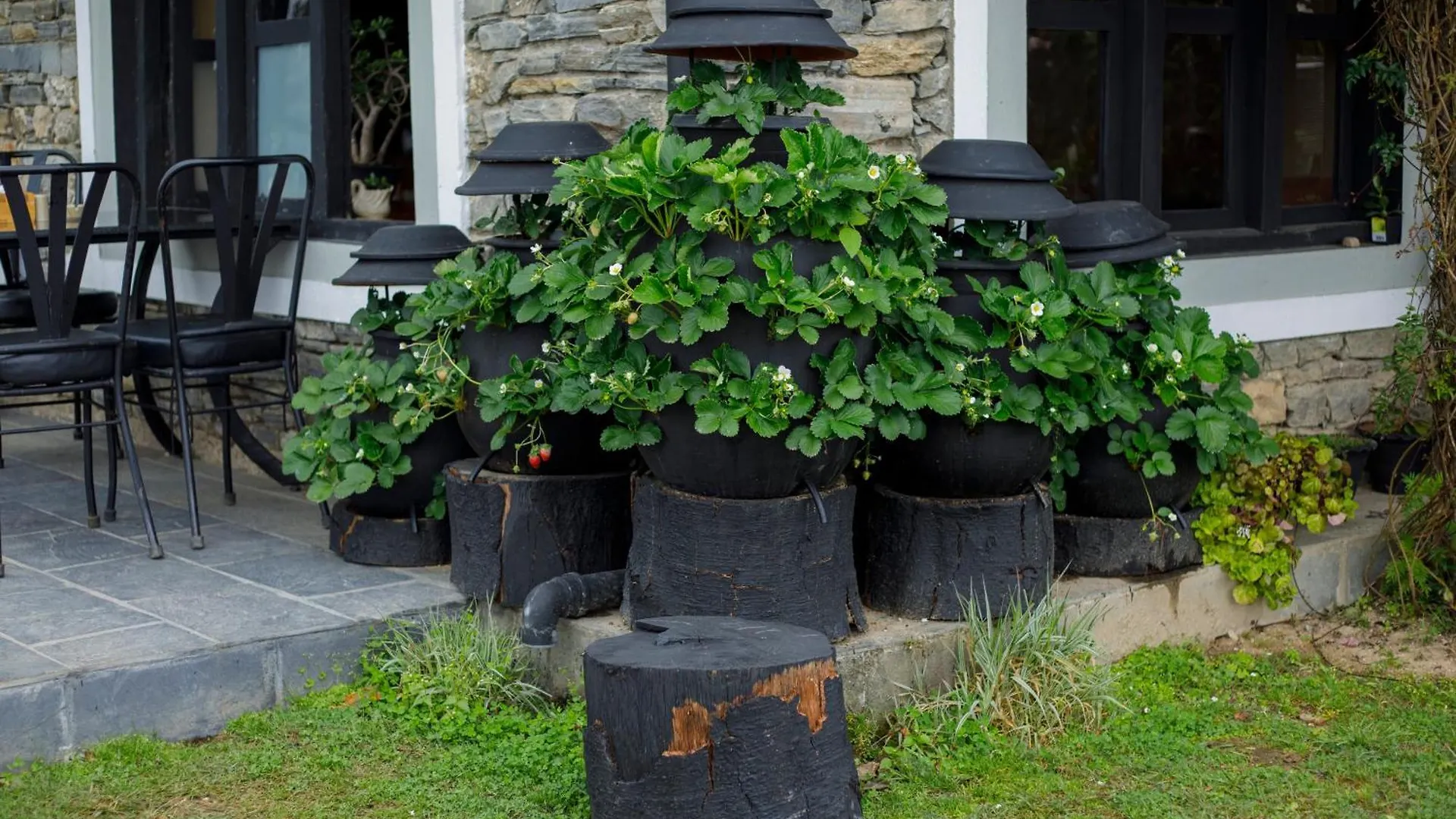 Prakriti Resort And Organic Farm Pvt. Ltd. Kathmandu 0*,  Nepal