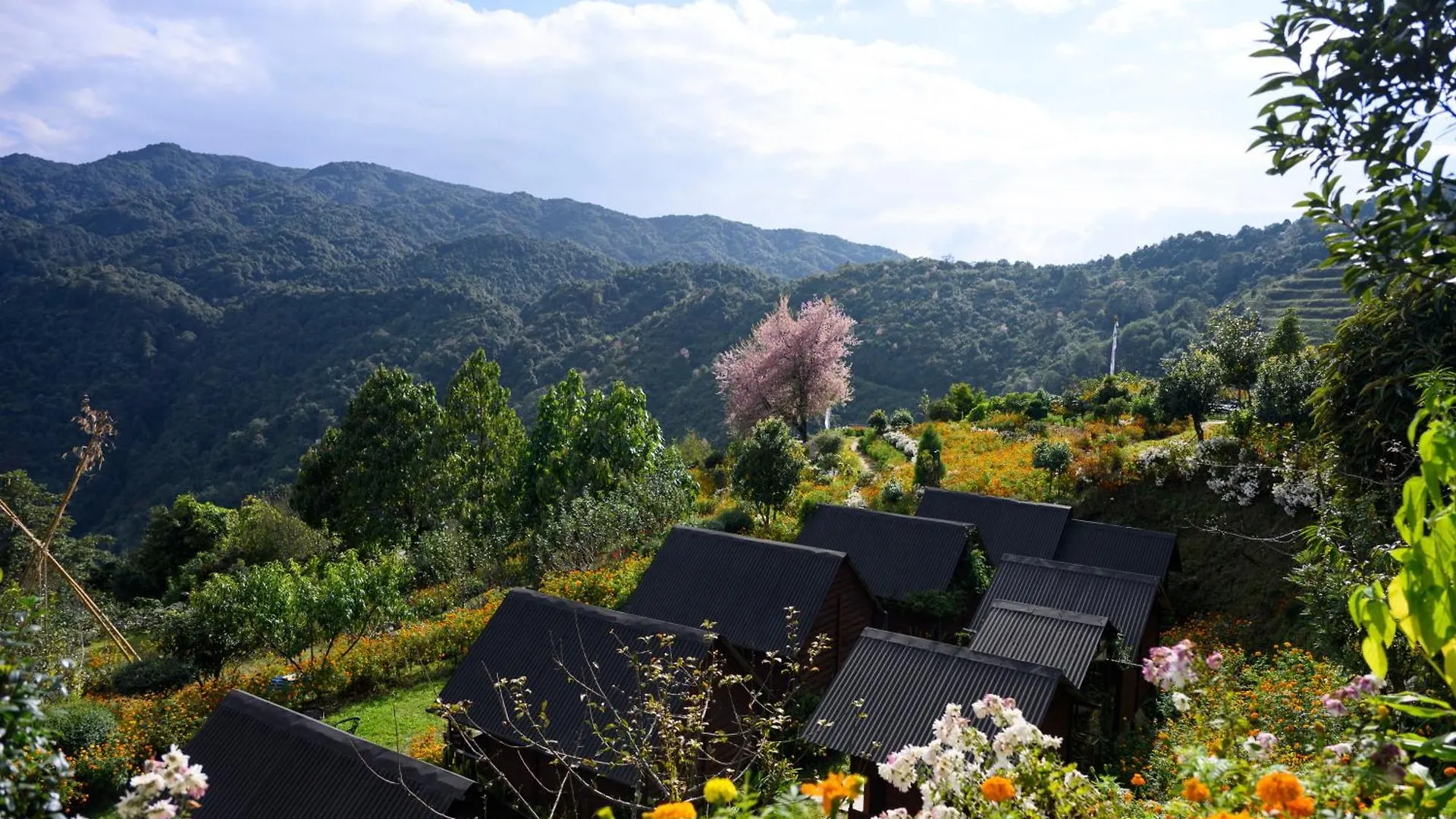 Farm stay Prakriti Resort And Organic Farm Pvt. Ltd. Kathmandu Nepal